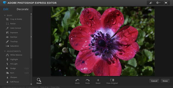 adobephotoshopexpresseditor